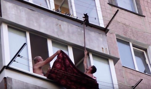 Muškarci spasli macu koja je visila na žici za sušenje