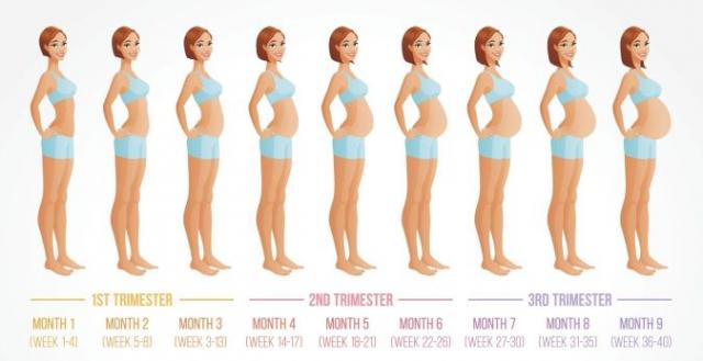 Deseti lunarni ili deveti kalendarski mesec trudnoće