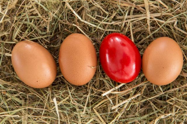 Prvo jaje farbamo u crveno: Šta je èuvarkuæa i zašto je moramo èuvati?