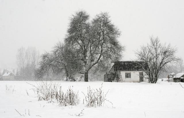 Snow leaves 1000 homes in western Serbia without electricity