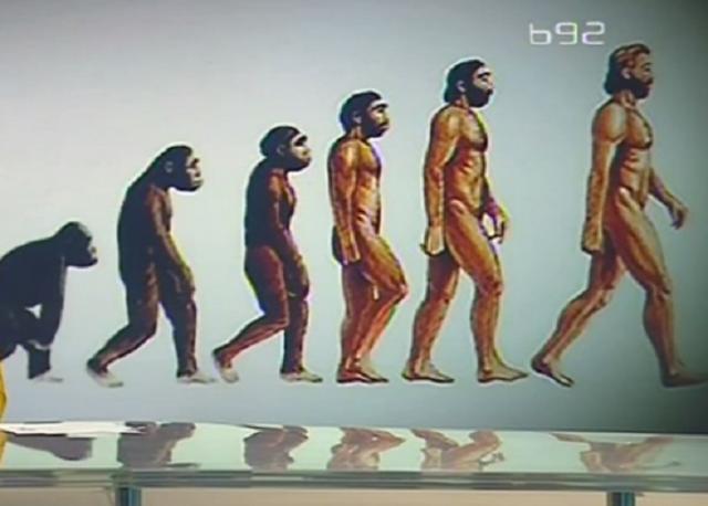 Da li je Darvinovoj teoriji odzvonilo u Srbiji? VIDEO