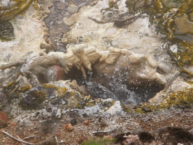 Savremeni gejzir koji izbacuje vodu bogatu silicijumom. Obojeni materijal predstavlja trag mikroorganizama (Foto: Tara Ðokiæ)
