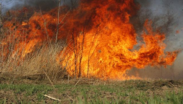 Dva puta više požara u Pomoravlju nego 2016.