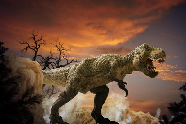 Tiranosaurus reks je grizao silom jednakom težini tri automobila