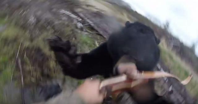 Zastrašujuæi video: Pogledajte kako medved napada lovca