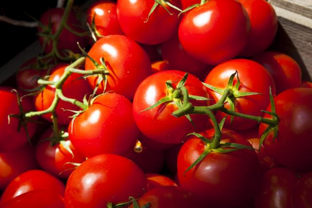 Osam zanimljivih činjenica o paradajzu