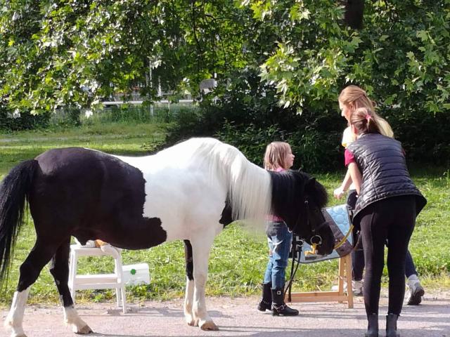 Hipoterapija: Kad konji leče ljude rezultati su odmah vidljivi