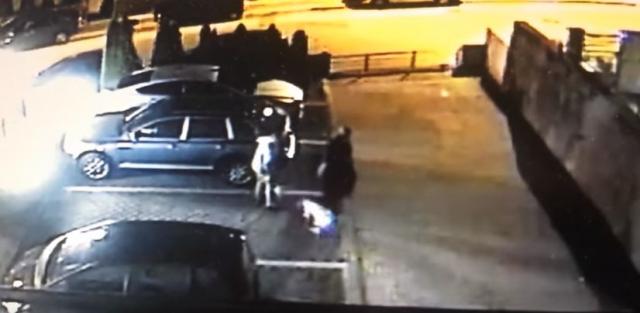 Pas skoro rastrgao psa, ima i snimak, ali "niko nadležan"