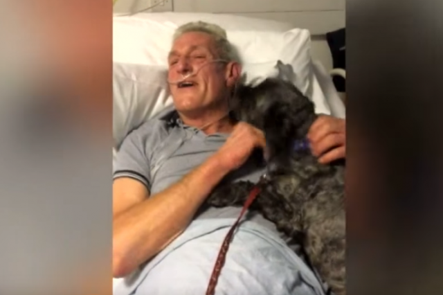 Posebna ljubav: Pas probudio vlasnika iz kome (VIDEO)