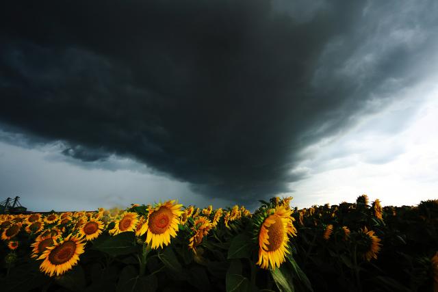 FOTO: Neverovatni oblaci nad Vojvodinom
