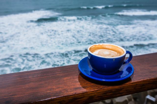 Hrvatima preti bankrot: Deru turiste - riba 100€