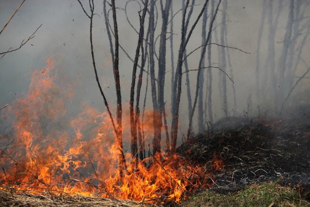 Tivat, Kotor i HN traže pomoæ regiona u gašenju požara