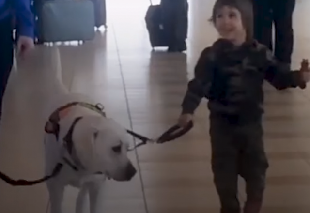 Pas koji je autističnom dečaku promenio život (VIDEO)