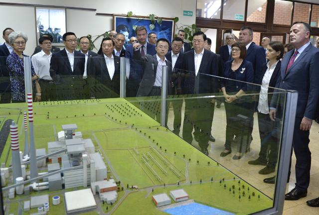 Top Chinese official tours power plant, steelmaker