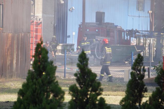 8 injured in cardboard fire factory in Belgrade/VIDEO