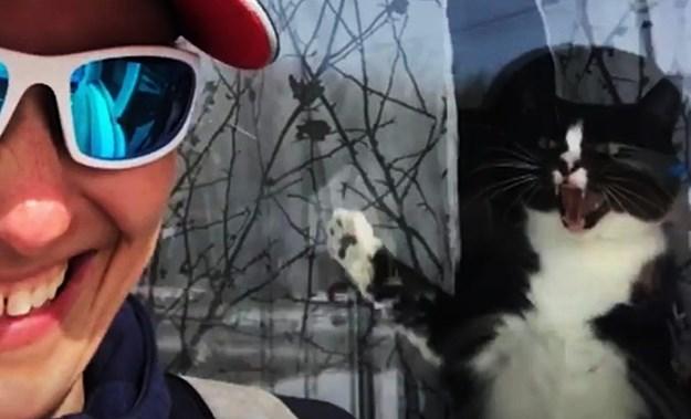 Mačak svaki dan pozdravlja poštarku na neobičan način /VIDEO