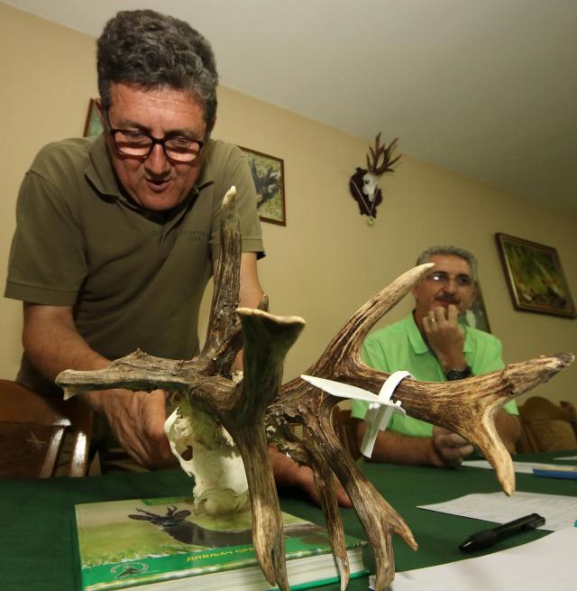 Odstreljen najvredniji trofej u istoriji lova u Srbiji