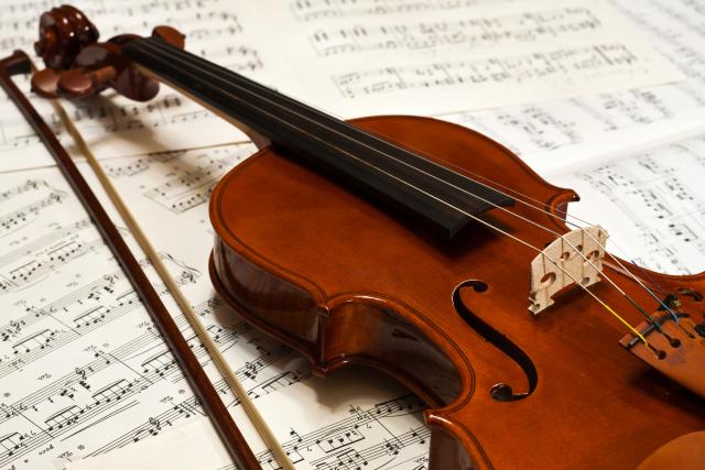 Razvod na japanski način: Žena bivšem mužu uništila 54 violine