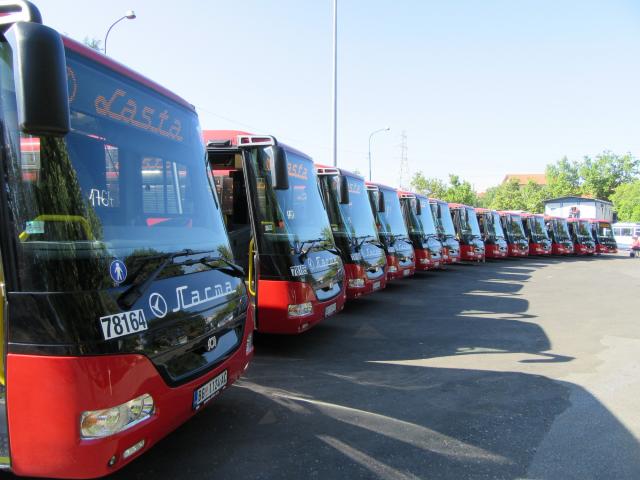BG: "76 novih autobusa menja saobraæaj" FOTO