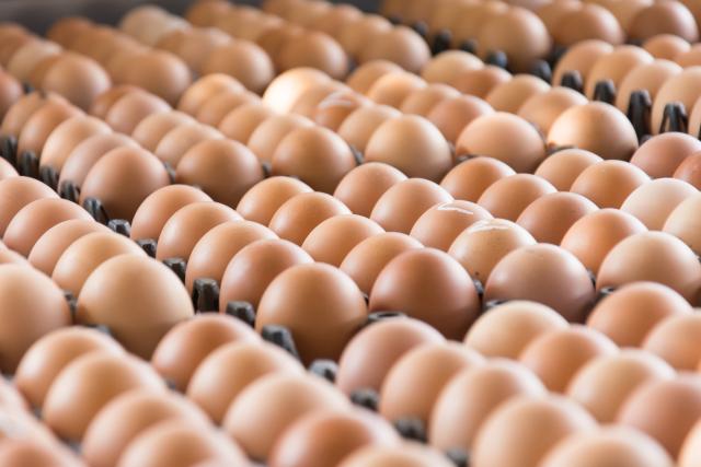 Panika u Evropi zbog skandala s jajima, "to je kriminal"