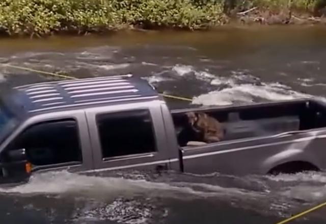 Automobil se survao u nabujalu reku, ali je pas ostao u njemu...