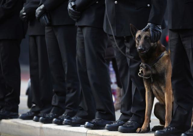 Heroj: Policijski pas se oporavio od teroristièkog napada u Manèesteru