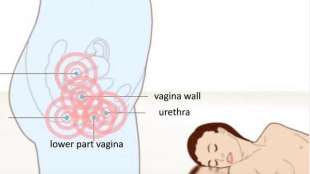 Prilikom seksualnog uzbuđenja, vagina postaje vlažna, a protok krvi se poja...