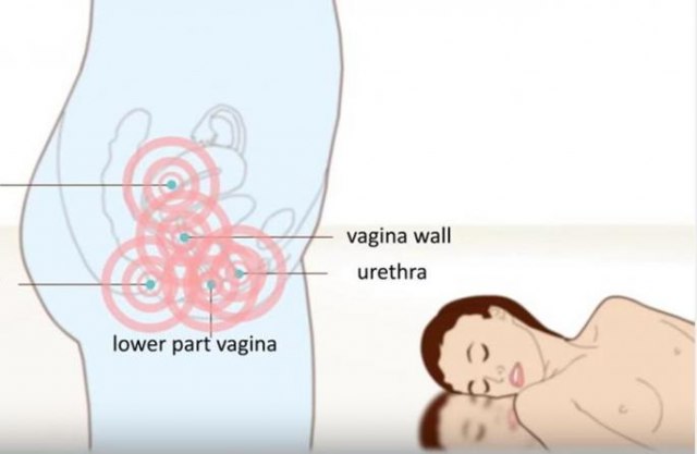 Kako izgleda seks iz unutrašnjosti vagine