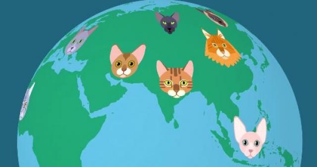 Animirana mapa pokazuje kako su se maèke širile svetom (VIDEO)