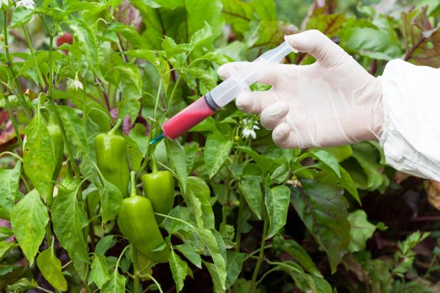 Francuska odluèila - proteruje Monsantov herbicid