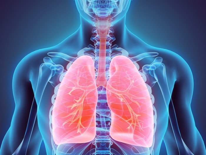 Primarna plućna hipertenzija