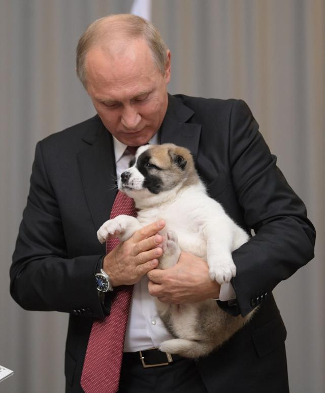 Vladimir Putin dobio neodoljivo štene za 65. roðendan / FOTO