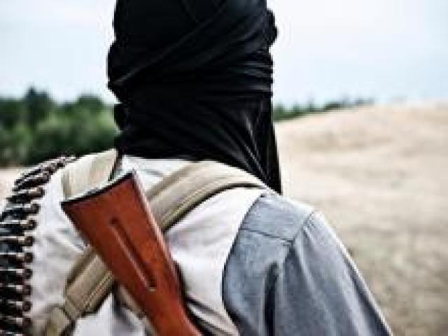 Jihadis defeated in ME are now returning, warns Interpol