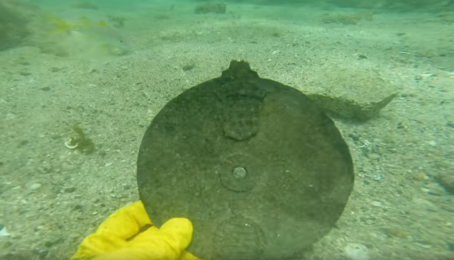 U olupini pronađen dosad najstariji instrument za navigaciju