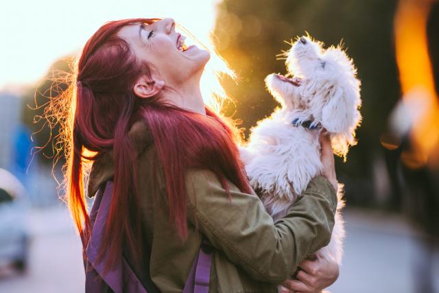 Ljudi pokazuju veću empatiju prema psima nego prema drugim ljudima
