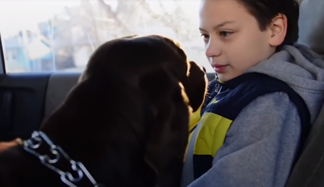Pas koji je autističnom dečaku promenio život /VIDEO