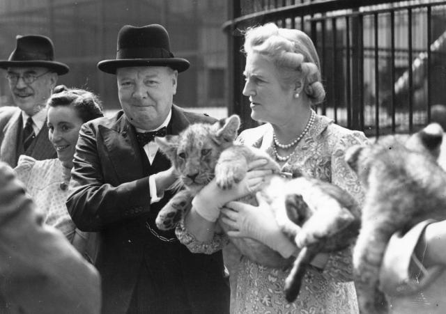 Britanski Buldog je obožavao mačke / FOTO