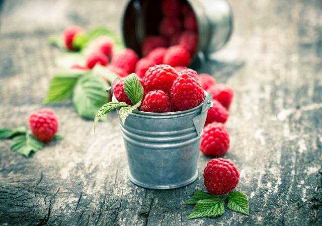 Iskopali smo naše crveno zlato - šibicom na maline