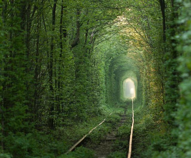 Prošetajte zelenim tunelom i otkrijte koliko ste zaljubljeni
