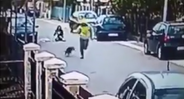 Pas lutalica postao heroj: Spasao devojku od lopova VIDEO