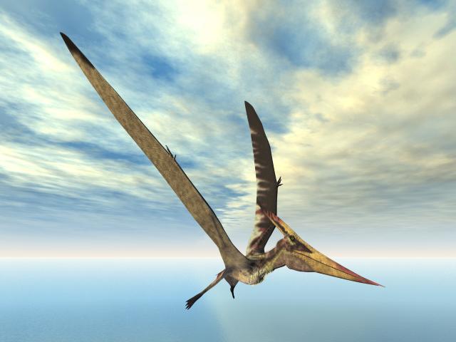 "Raj pterosaurusa" otkriven u Kini
