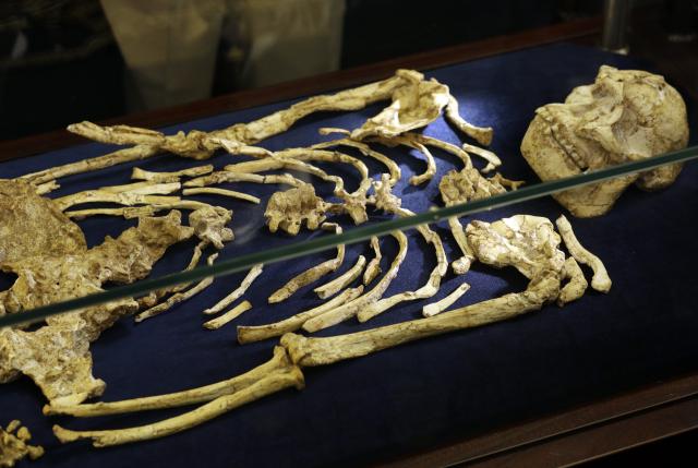 Otkriven kompletan ljudski skelet star 3,6 miliona godina