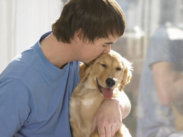 Veza između čoveka i psa bi mogla da leči teške poremećaje