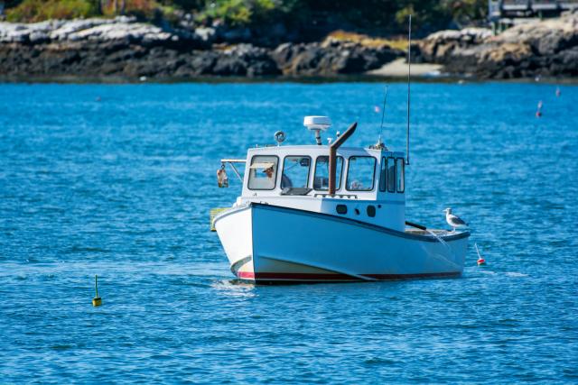 Piranski zaliv: HR "garantuje", a ribari æe možda u zatvor