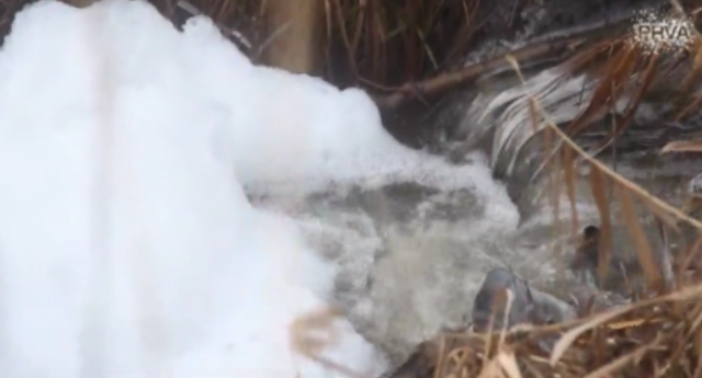 Voda mutna i peni, širi se jak smrad - šta se dešava VIDEO