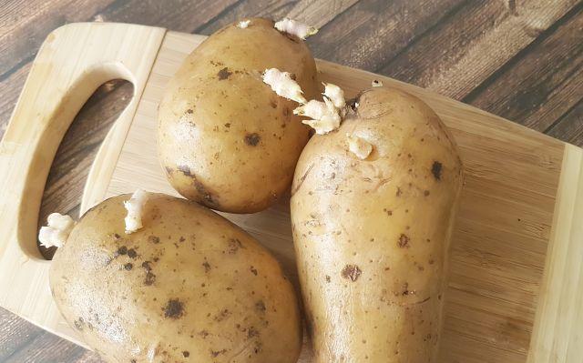 Ne bacajte proklijao krompir: Uradite ovo i biæe savršeno ukusan