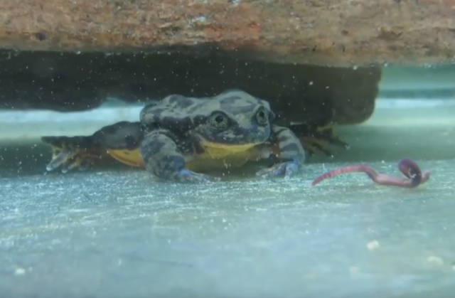 Forumi za upoznavanje youtube Forumi za upoznavanje youtube