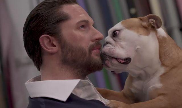 Psi i Tom Hardi - ništa nam više ne treba / VIDEO