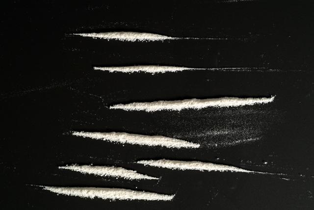 Pronađeno 1.100 kg kokaina u kontejneru sa smrznutom ribom