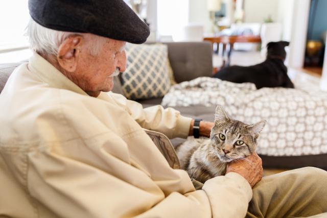 Dementni pacijenti mogu da vrate pamæenje zahvaljujuæi maèkama